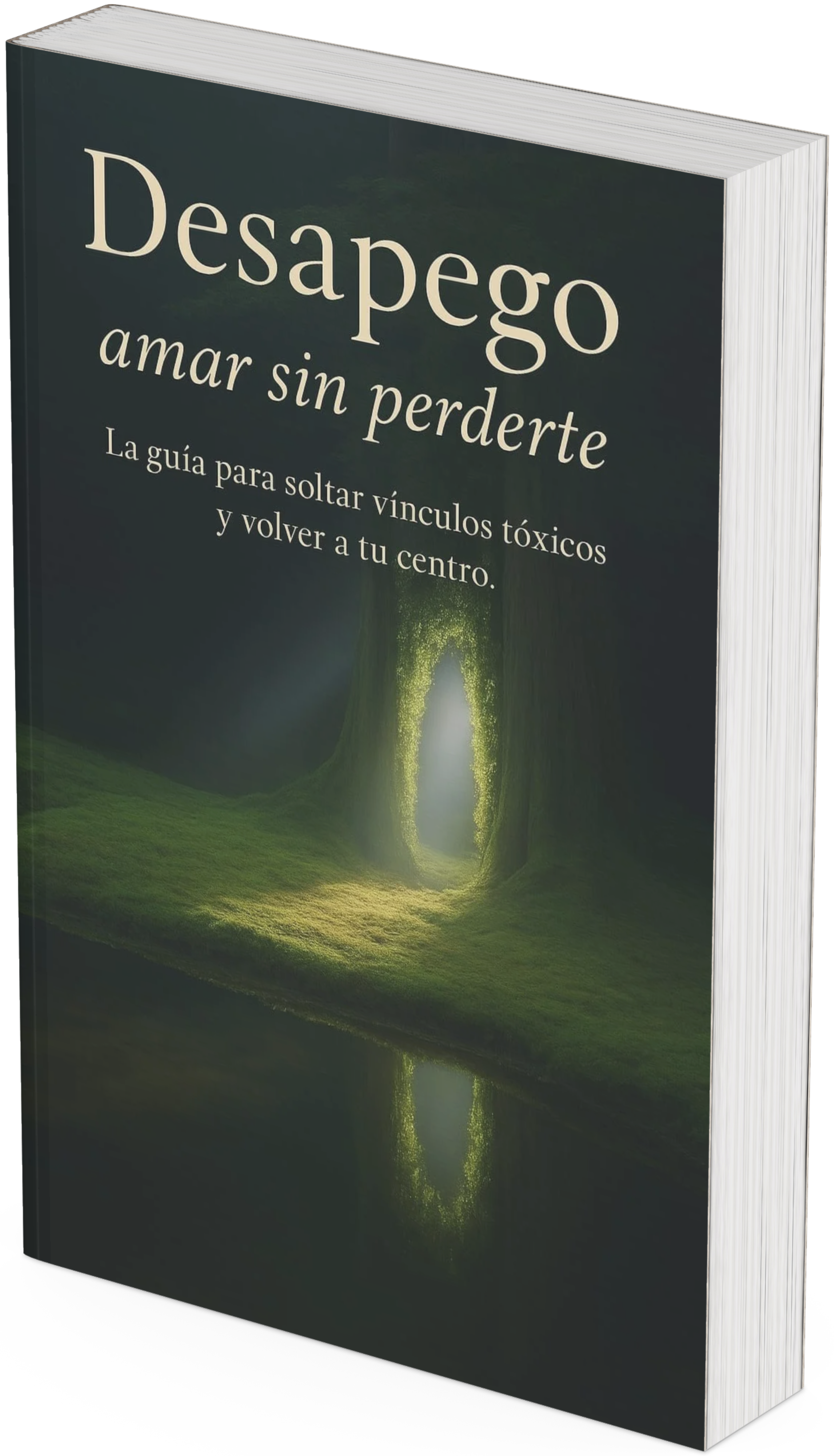 Desapego Amar Sin Perderte